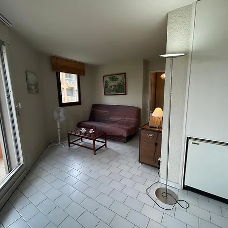 Apartament Front De Et Piscine 4 Couchages Cyprien Sc080-716