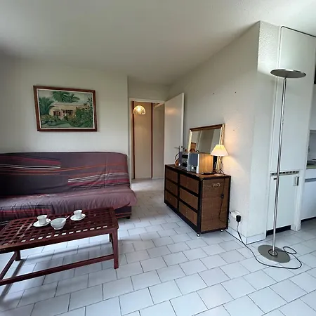 Apartament Front De Et Piscine 4 Couchages Cyprien Sc080-716 *