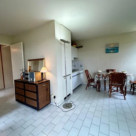Apartament Front De Et Piscine 4 Couchages Cyprien Sc080-716 *